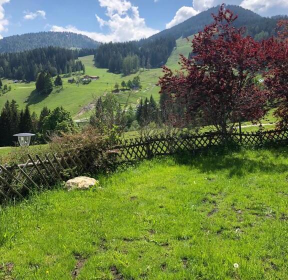 Номер Стандарт, Dunza
