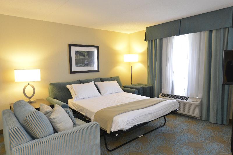 Люкс Кровать Кинг, Holiday Inn Express Hotel & Suites Waterloo   St. Jacobs Area, An Ihg