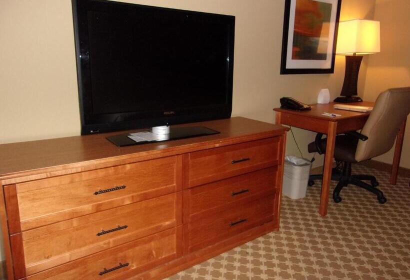 Номер Стандарт, Holiday Inn Express Hotel & Suites Chicago West Roselle, An Ihg