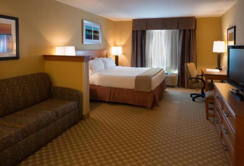 Стандартный Номер Кровать Кинг, Holiday Inn Express Hotel & Suites Chicago West Roselle, An Ihg