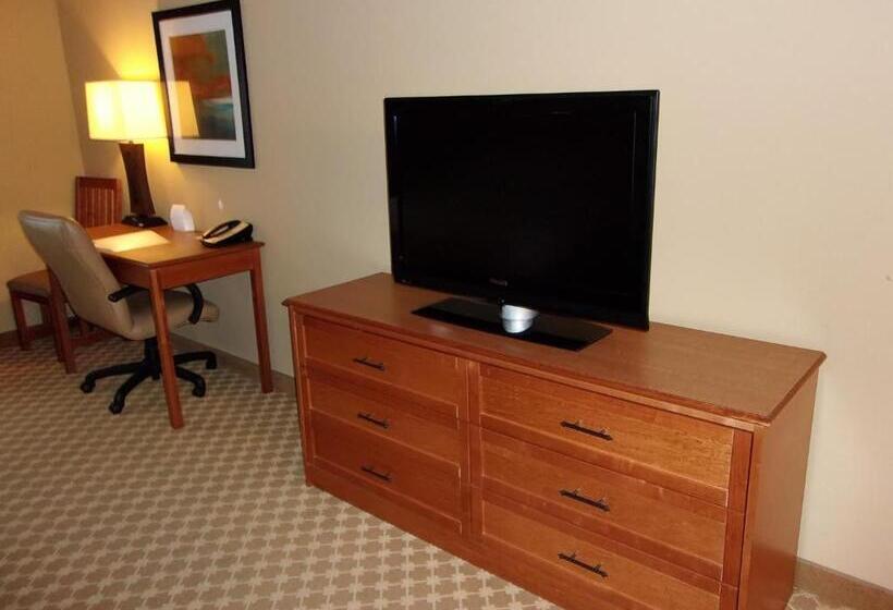 Номер Стандарт Кровать Кинг Адаптированный для Инвалидов, Holiday Inn Express Hotel & Suites Chicago West Roselle, An Ihg