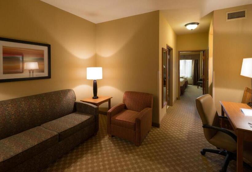 Президентский Люкс, Holiday Inn Express Hotel & Suites Chicago West Roselle, An Ihg