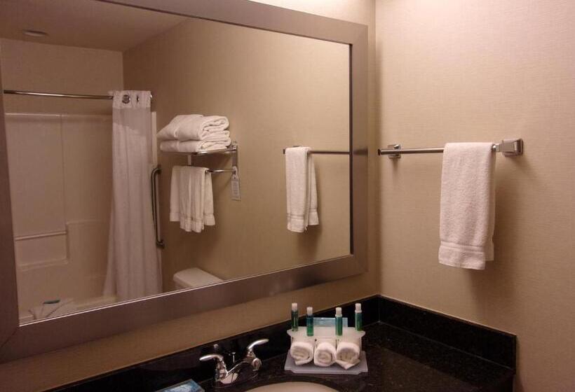 Family Suite, Holiday Inn Express Hotel & Suites Chicago West Roselle, An Ihg