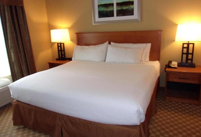Family Suite, Holiday Inn Express Hotel & Suites Chicago West Roselle, An Ihg