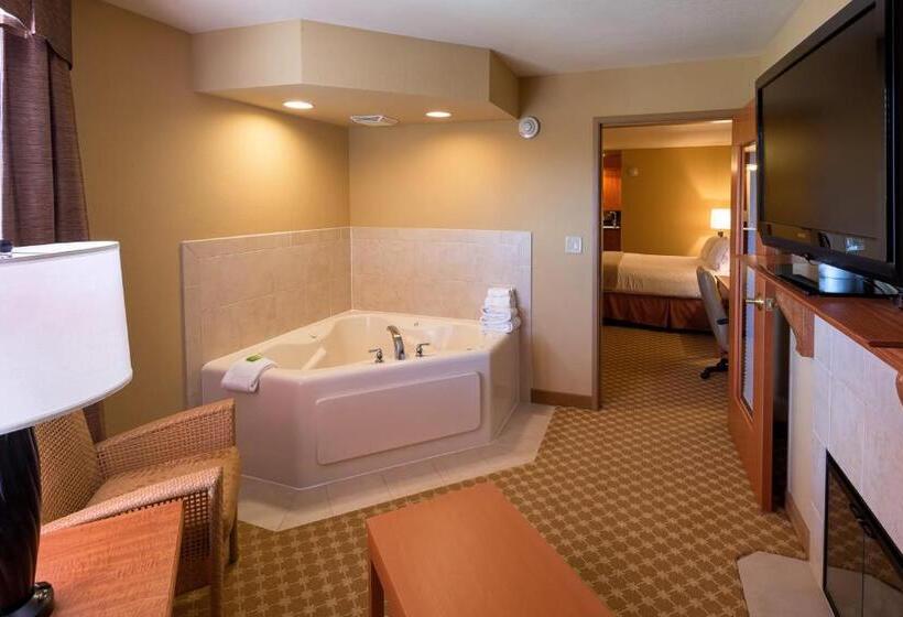Люкс Повышенной Комфортности, Holiday Inn Express Hotel & Suites Chicago West Roselle, An Ihg