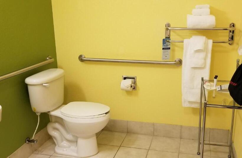 장애인을 위한 스위트, Microtel Inn & Suites By Wyndham Delphos