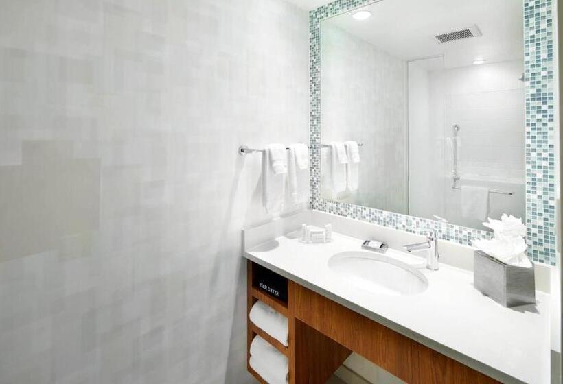 Люкс Адаптированный для Инвалидов, Springhill Suites Houston Nasa/webster
