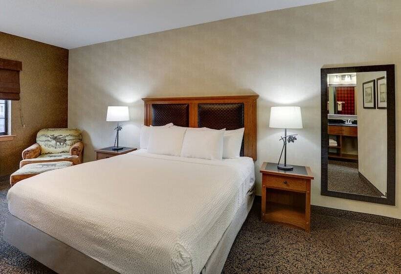 اتاق لوکس, Stoney Creek Hotel Sioux City