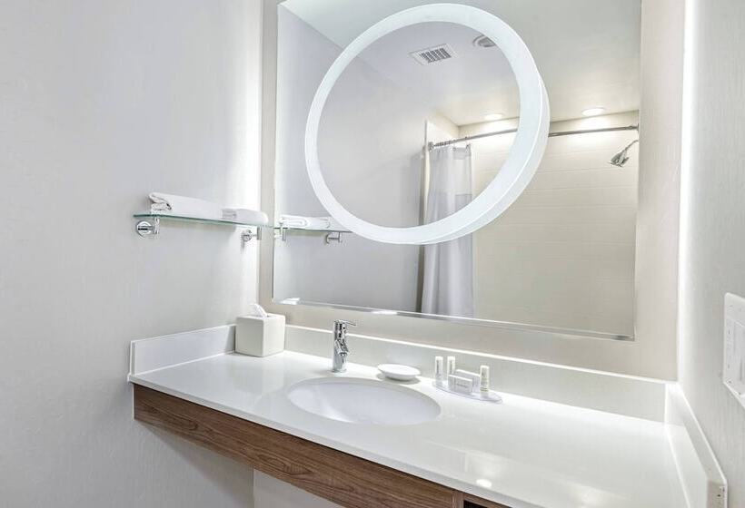 Studio Standard, Springhill Suites By Marriott San Antonio Airport