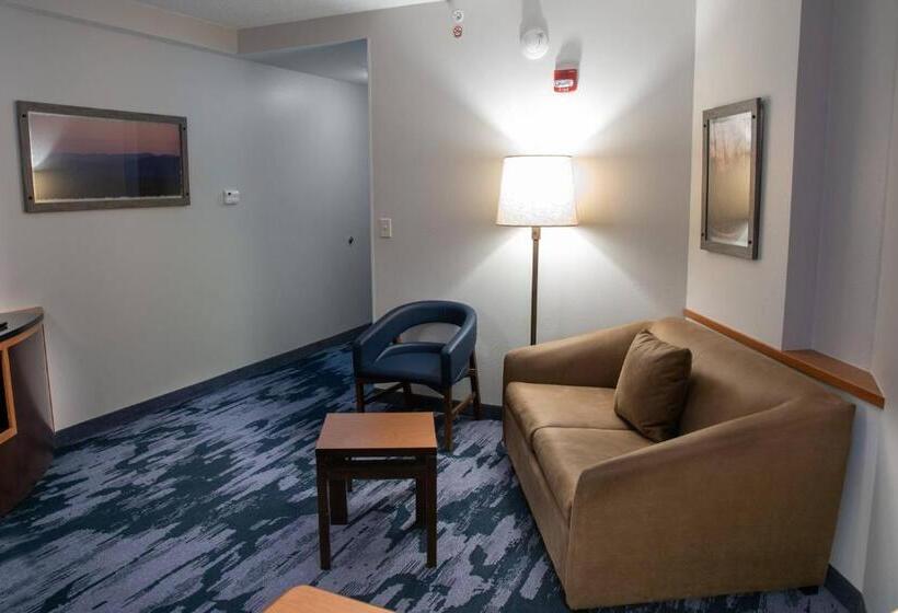Студио Стандарт Кровать Кинг, Fairfield Inn & Suites Lewisburg