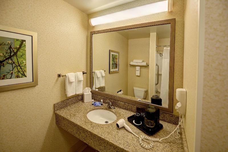 스탠다드 룸 킹사이즈 침대, Fairfield Inn & Suites By Marriott Wausau