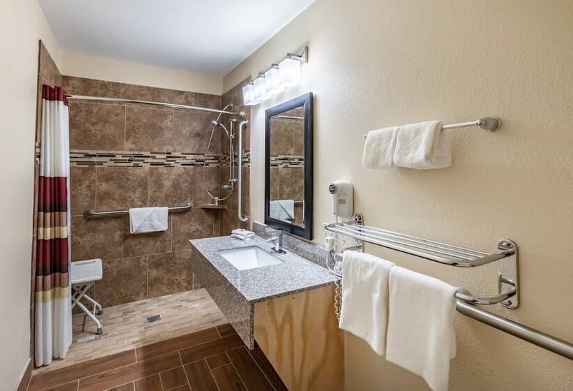 Номер Superior Адаптированный для Инвалидов, Red Roof Inn Buffalo, Tx