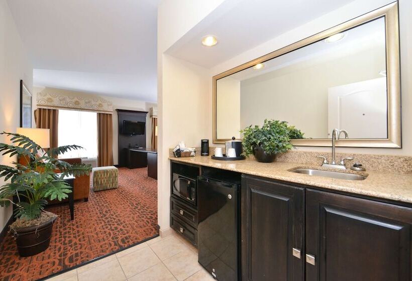 Люкс, Hampton Inn Pecos