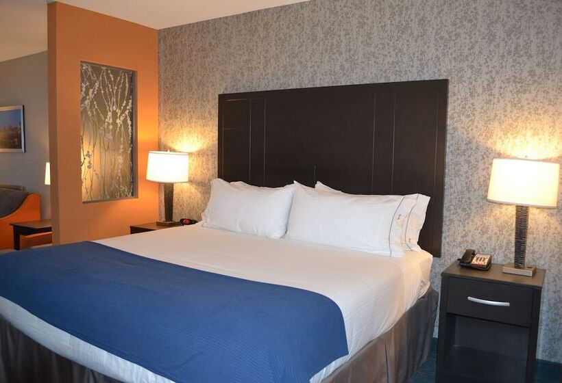 스탠다드 룸, Holiday Inn Express Hotel & Suites Knoxville, An Ihg