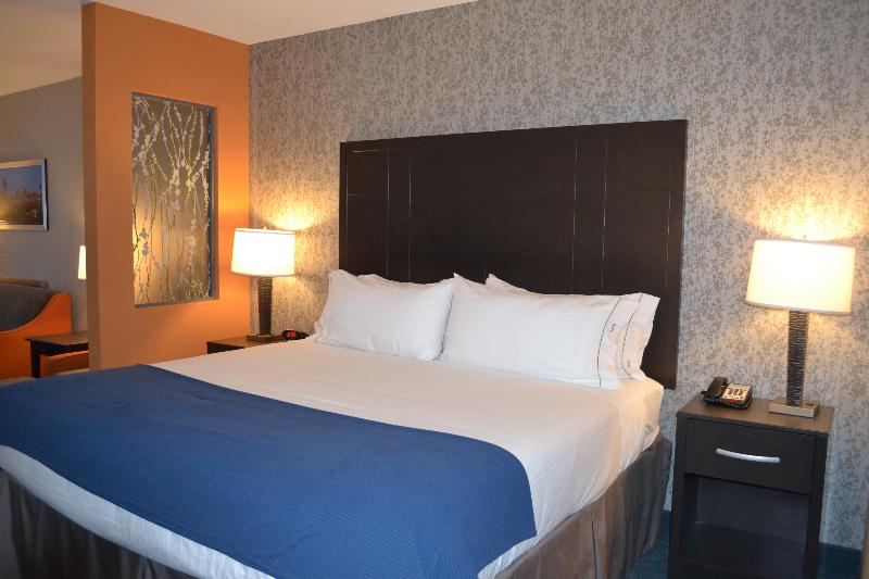 스탠다드 룸 킹사이즈 침대, Holiday Inn Express Hotel & Suites Knoxville, An Ihg