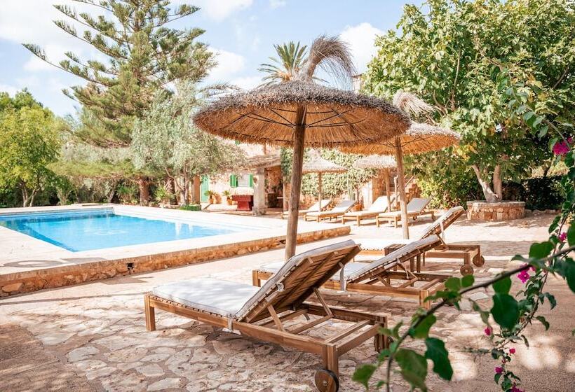 Номер Стандарт, Agroturisme Son Barceló Mas