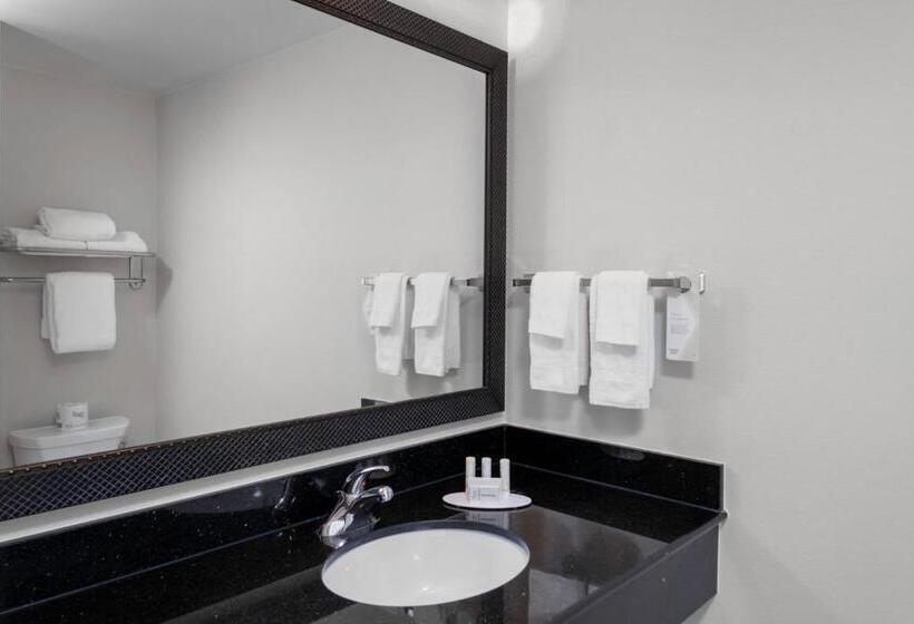 Стандартный Номер Кровать Кинг, Fairfield Inn & Suites By Marriott Wichita Downtown