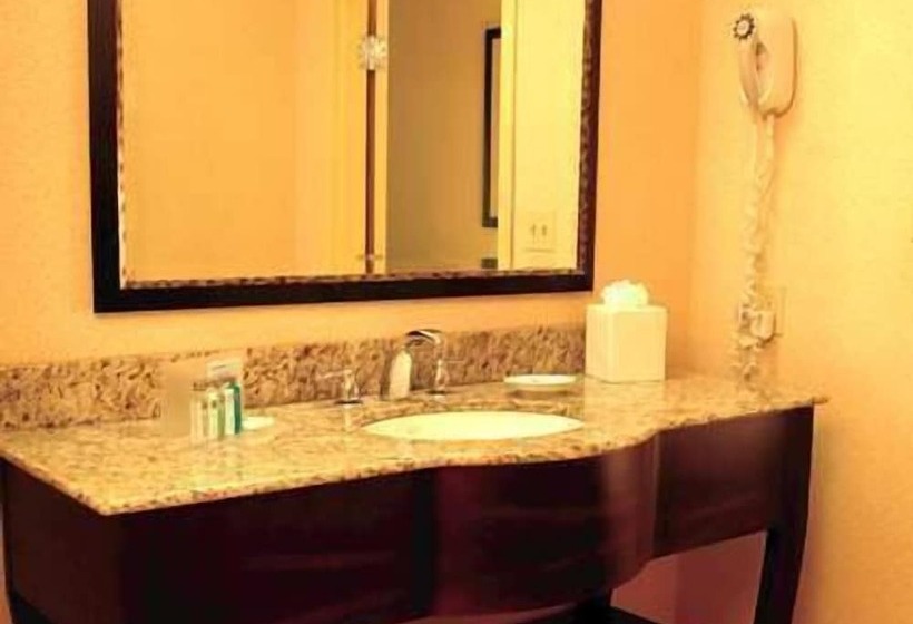 장애인을 위한 스탠다드 룸, Hampton Inn Magnolia
