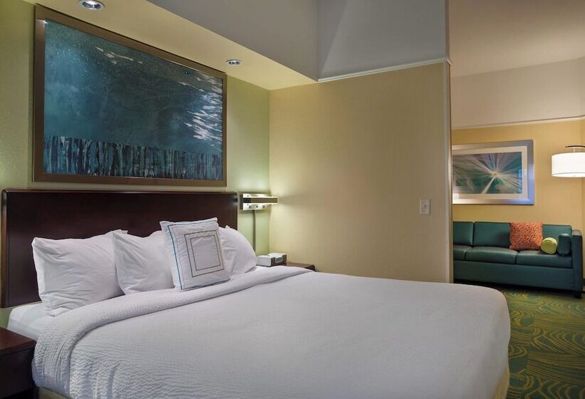 Люкс, Springhill Suites St Petersburg Clearwater