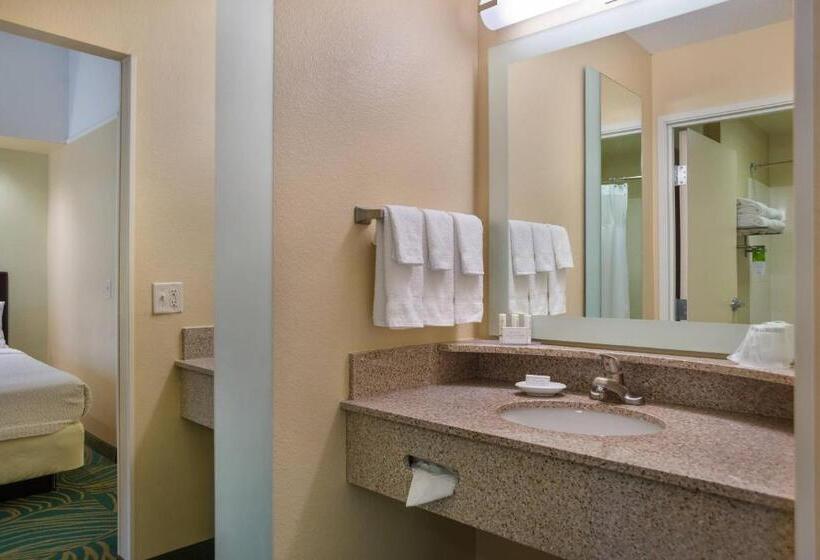 Люкс Кровать Кинг, Springhill Suites St Petersburg Clearwater