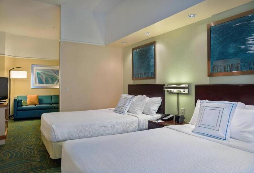 Люкс Адаптированный для Инвалидов, Springhill Suites St Petersburg Clearwater
