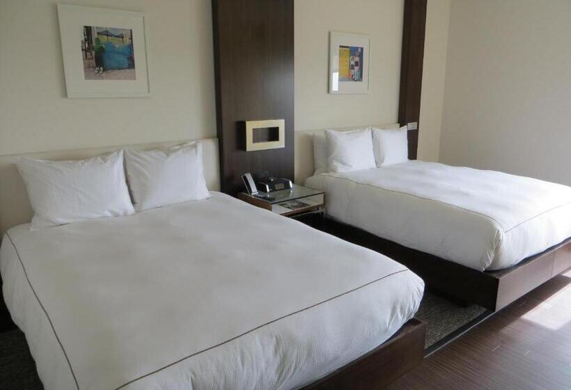 Deluxe Kamer Aangepast voor Gehandicapten, The Alexander