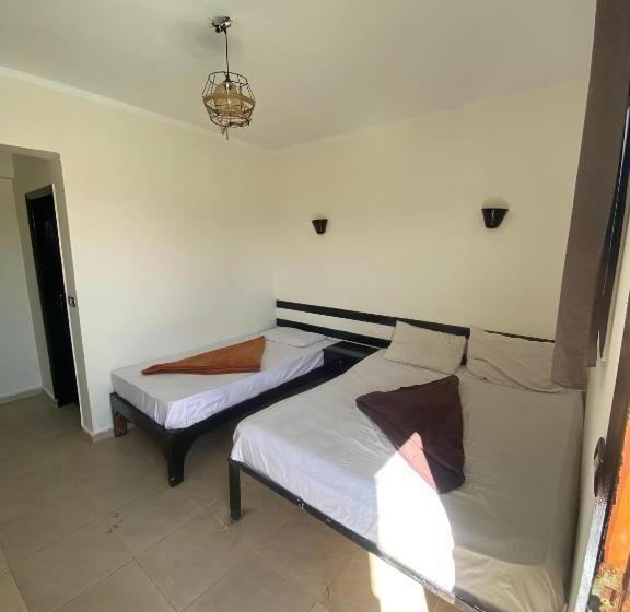 اتاق اکونومی, Dahab Inn