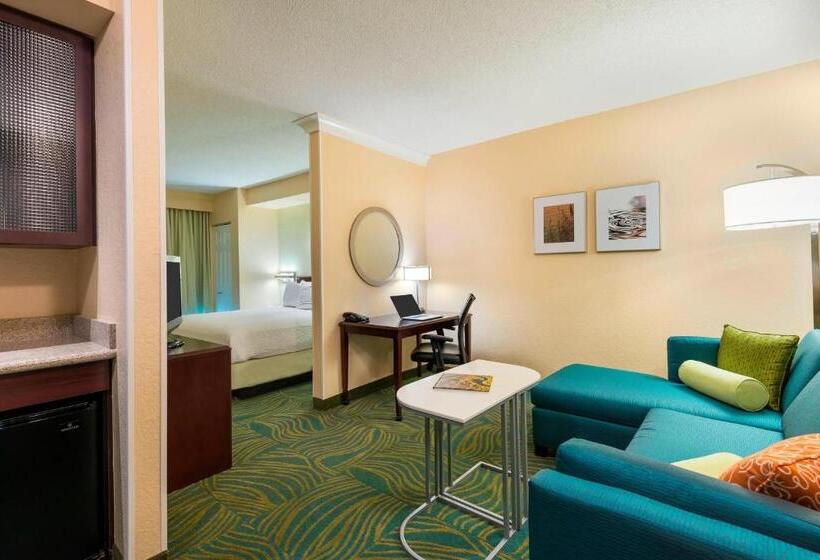 带大床的套房, Springhill Suites Fort Myers Airport