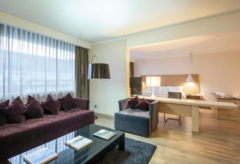 Президентский Люкс, Wyndham Concepcion Pettra
