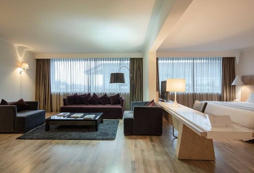 Президентский Люкс, Wyndham Concepcion Pettra