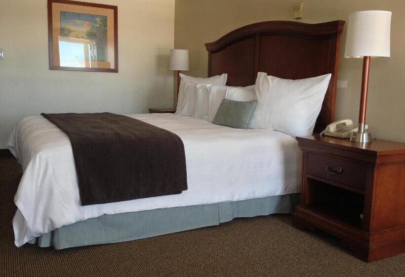 Стандартный Номер Кровать Кинг, Holiday Hill Inn & Suites