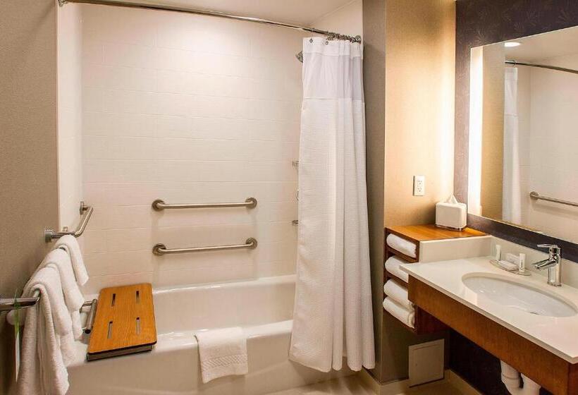 Люкс, Springhill Suites By Marriott Deadwood