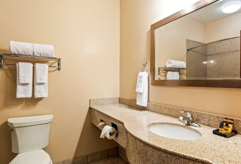 Люкс, Best Western Plus Seminole Hotel & Suites