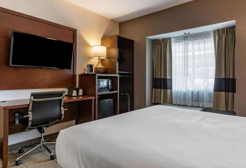 Номер Стандарт, Comfort Inn & Suites