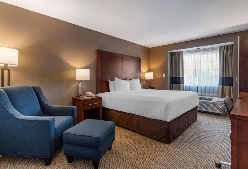 Люкс Адаптированный для Инвалидов, Comfort Inn & Suites
