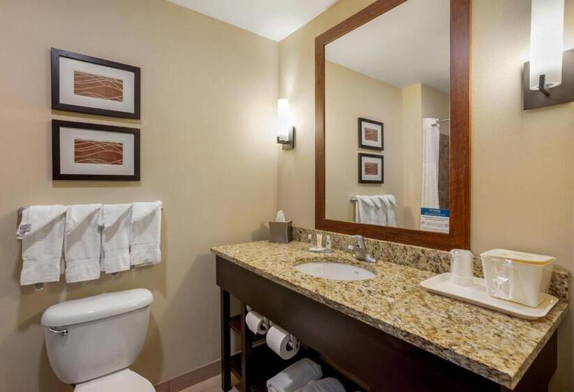 キングサイズベッドのスタンダードルーム, Comfort Inn & Suites Sayre