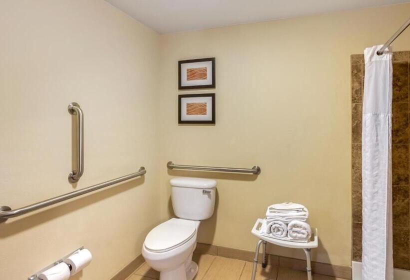标准间, Comfort Inn & Suites Sayre