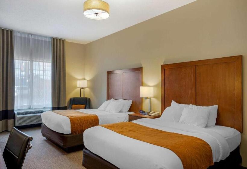 スタンダードルーム, Comfort Inn & Suites Sayre