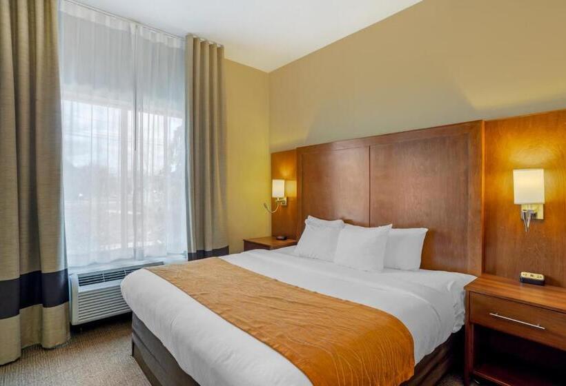 适合残疾人士使用的套间, Comfort Inn & Suites Sayre