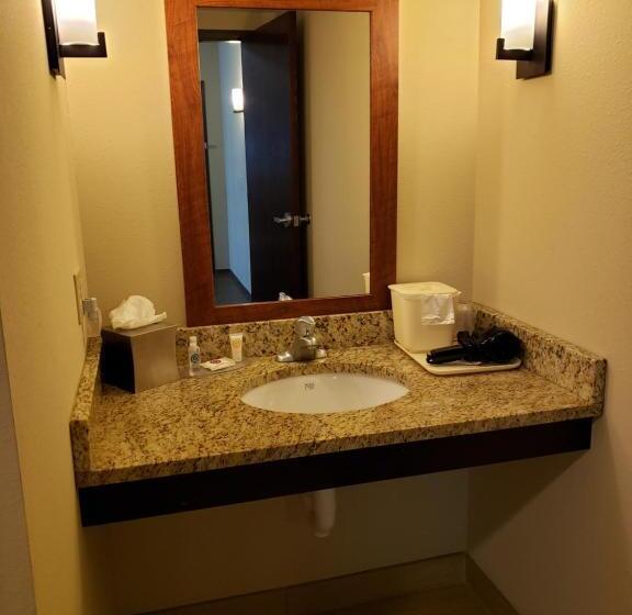 适合残疾人士使用的套间, Comfort Inn & Suites Sayre