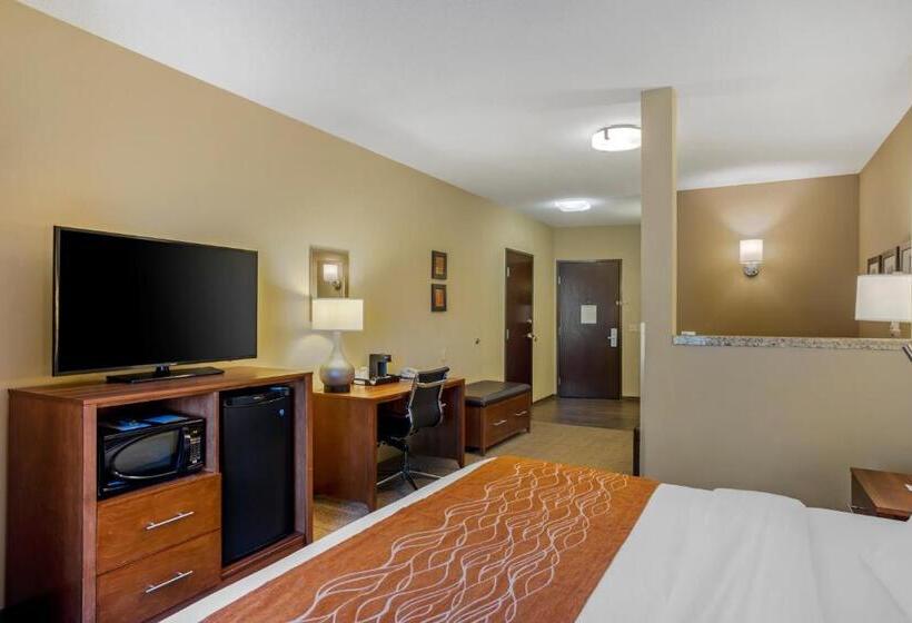 适合残疾人士使用的套间, Comfort Inn & Suites Sayre