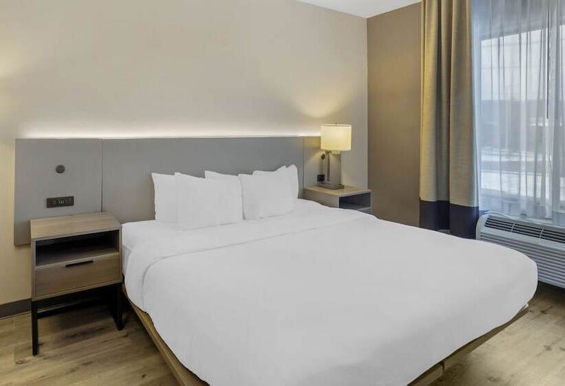 套房, Comfort Inn & Suites Sayre