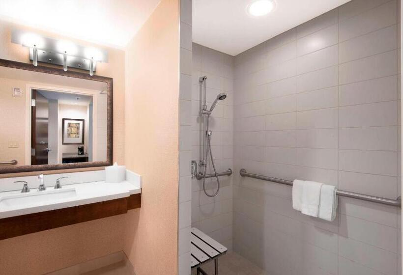 Номер Стандарт Кровать Кинг Адаптированный для Инвалидов, Denver Marriott Westminster