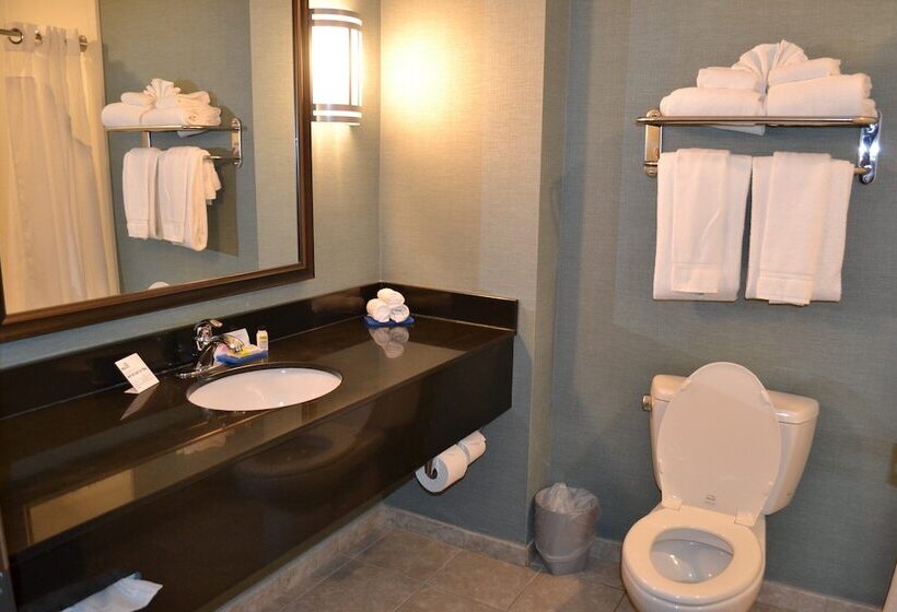 套房, Holiday Inn Express Selinsgrove, An Ihg