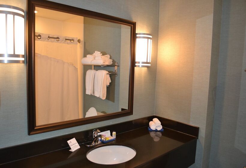 جناح لذوى الاحتياجات الخاصة, Holiday Inn Express Selinsgrove, An Ihg