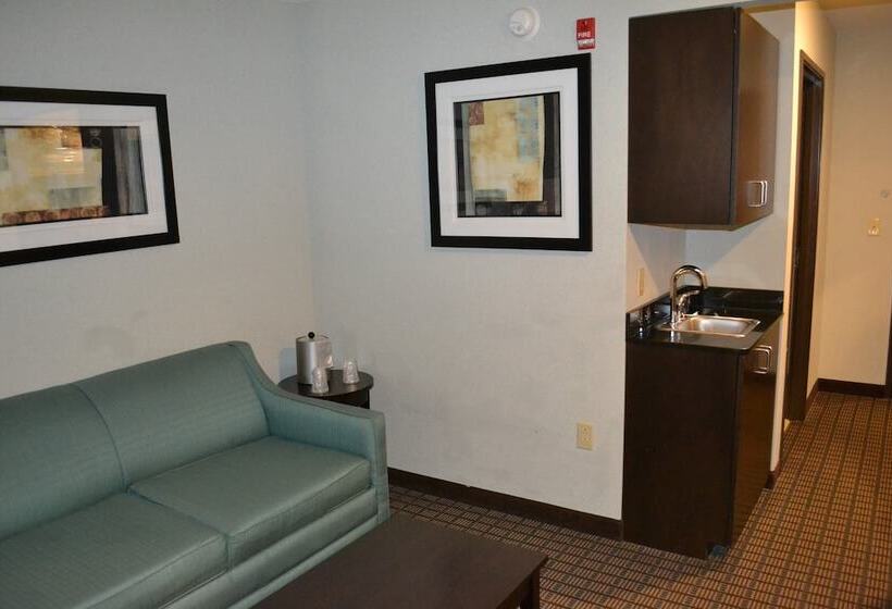 适合残疾人士使用的套间, Holiday Inn Express Selinsgrove, An Ihg