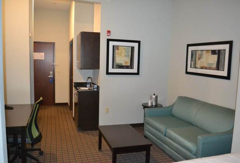 身障者適用スイートルーム, Holiday Inn Express Selinsgrove, An Ihg