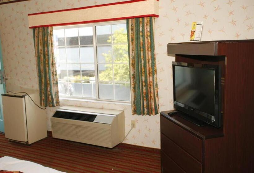 스탠다드 룸, Hollywood Guest Inn