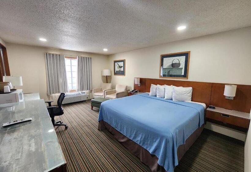 带大床的标准间, Windsor Place Inn