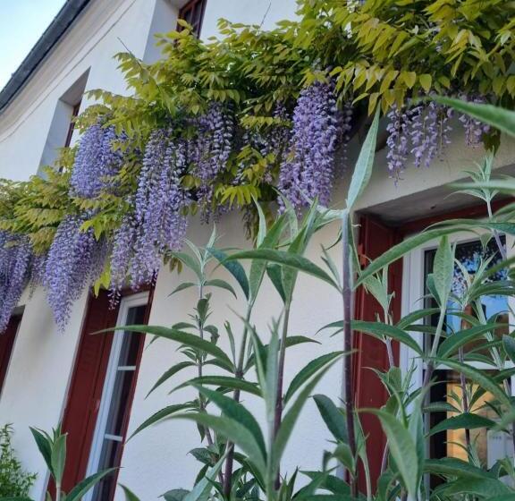 ガーデンビュースタンダードルーム, Les Glycines De Monchy  Chambres D Hôtes